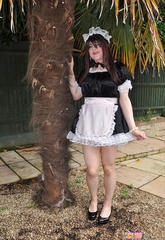 This lascivious ladyboy tart is dressed as a saucy maid and