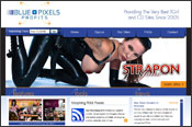 bluepixelsprofits.com